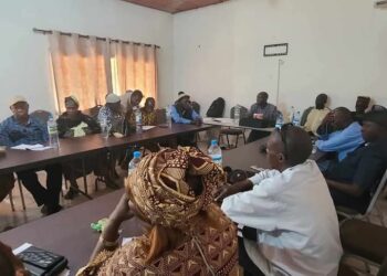Atelier de revue trimestrielle de la Fédération Denkadi de Dabola